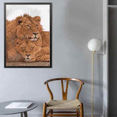 Painting by Numbers Lions Couple Animals Animal Art